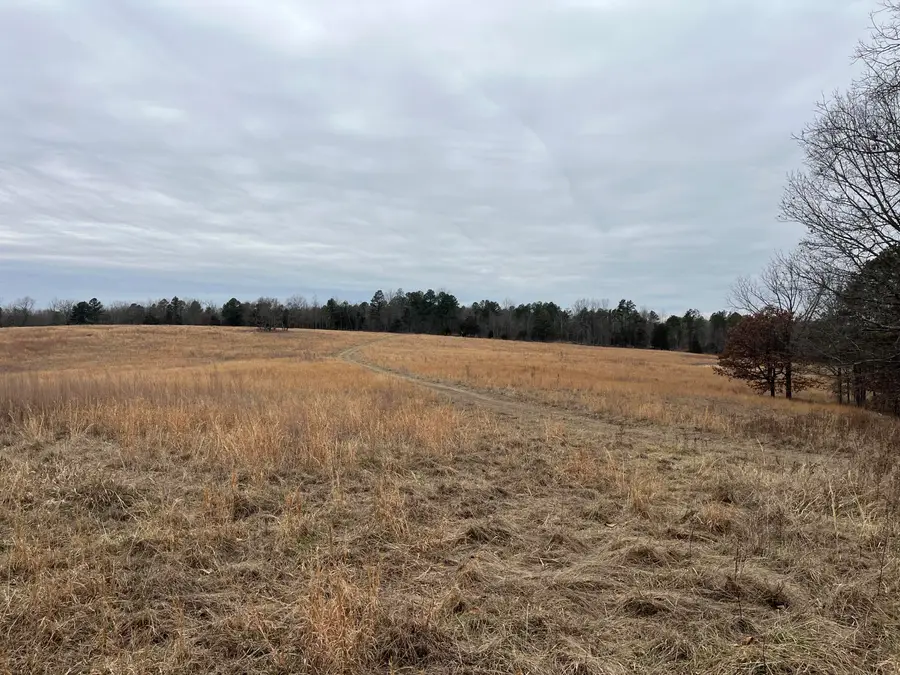 Tract 6 Private Drive 2336, Norwood, MO 65717 - Image #2