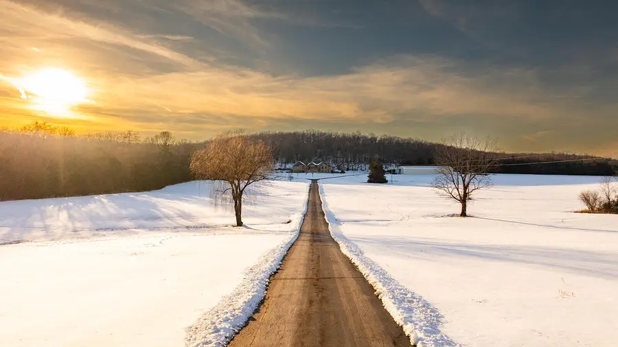 11755 N Farm Road 177, Fair Grove, MO 65648 - Image #2