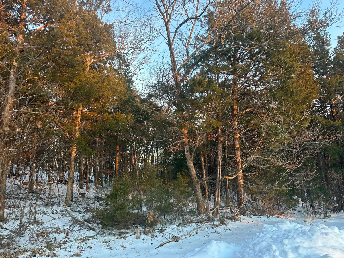 Lot 24 Spring Court, Branson, MO 65616 - Image #1