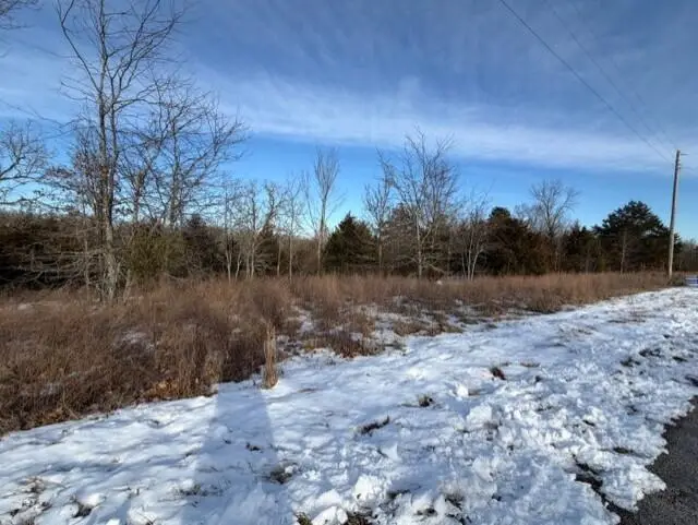 000 Shady Oaks Shore, Forsyth, MO 65653 - #3