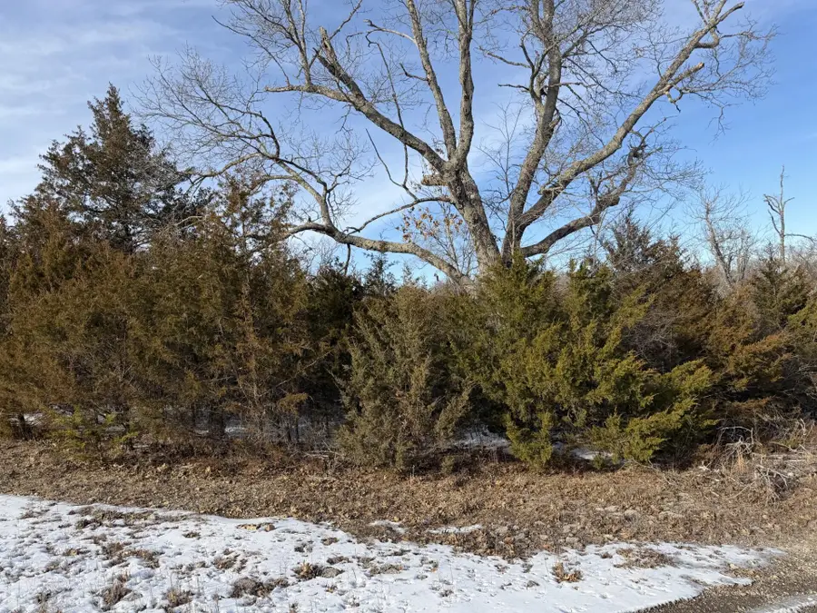 235 Shady Oaks Shore, Forsyth, MO 65653 - #3