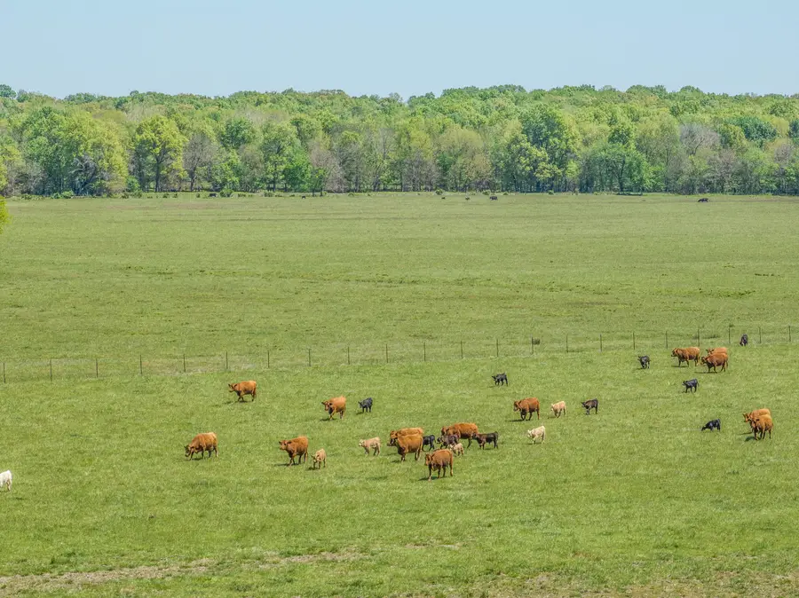 700 N Highway Cc, Lamar, MO 64759 - Image #2