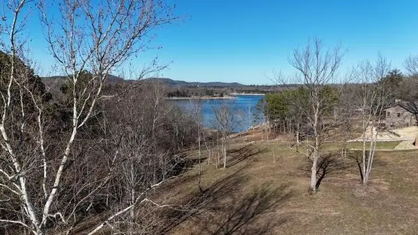 22236 Evergreen Court, Golden, MO 65658