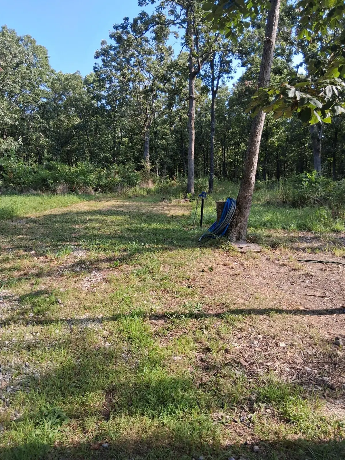 14135 Suzan Lane Bucyrus Lane, Bucyrus, MO 65444 - #1