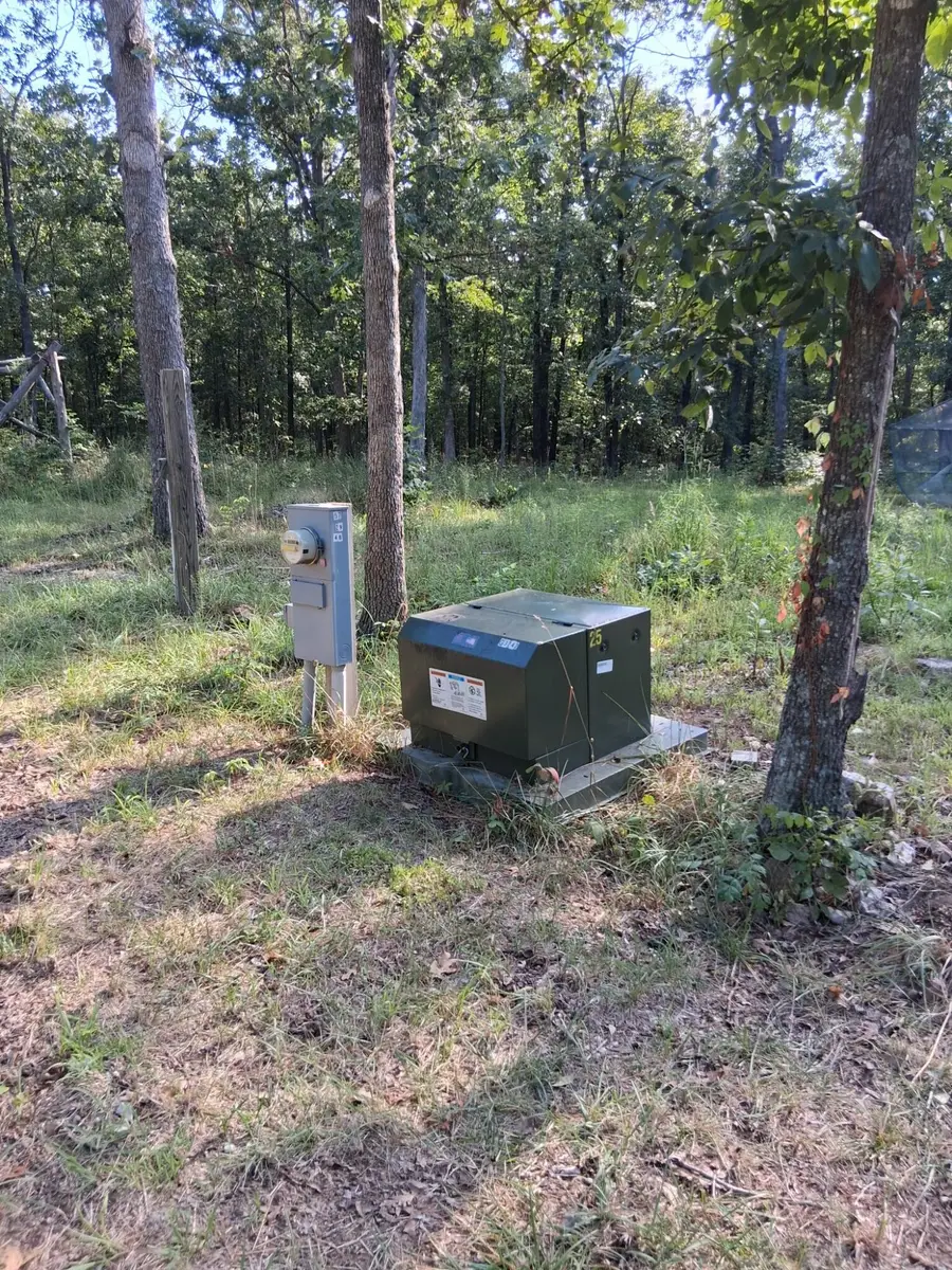 14135 Suzan Lane Bucyrus Lane, Bucyrus, MO 65444 - #2