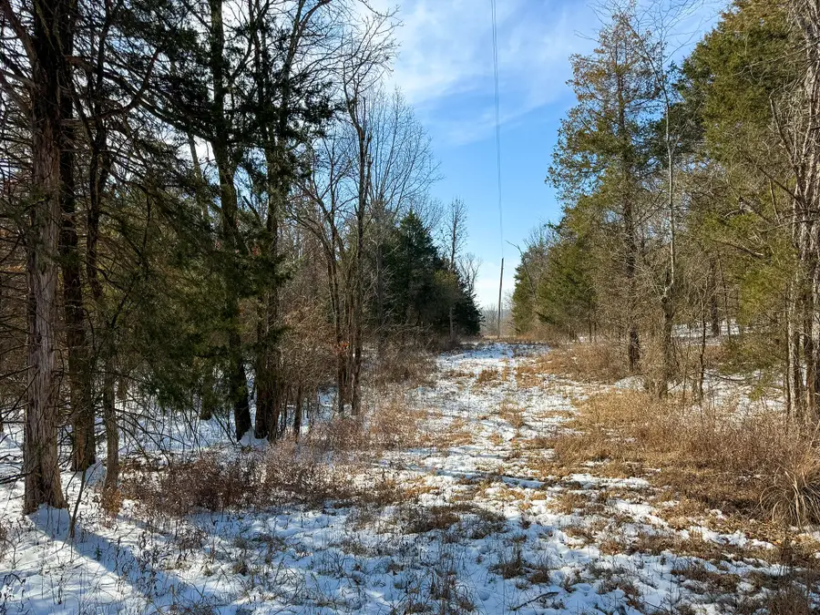 000 E 562nd Road, Brighton, MO 65617 - Image #3