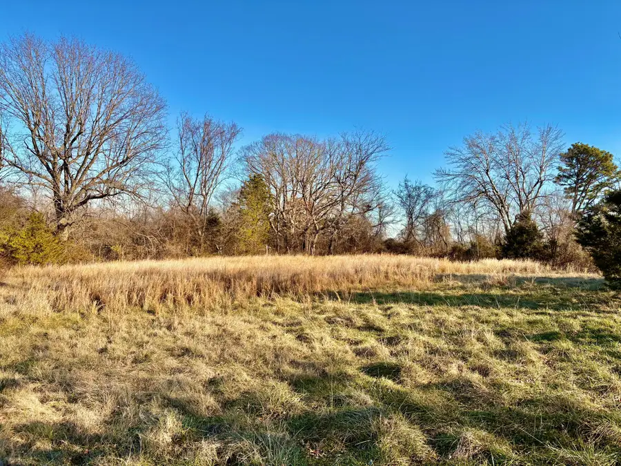 000 County Road 900, Theodosia, MO 65761 - #2