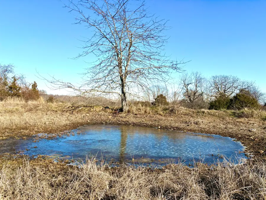 000 County Road 900, Theodosia, MO 65761 - #3