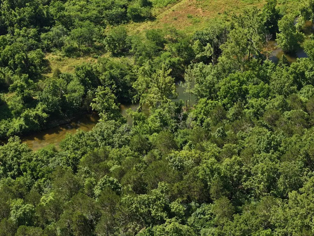 000 County Road 630 #Section C, Gainesville, MO 65655 - #1