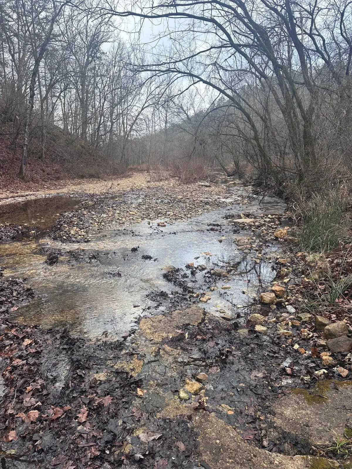 1007 County Road 166, Drury, MO 65638 - #1