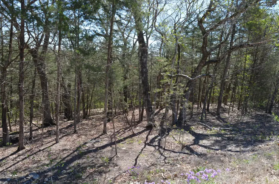 000 Ridgemont Circle Lot 63a, Branson West, MO 65737 - Image #2