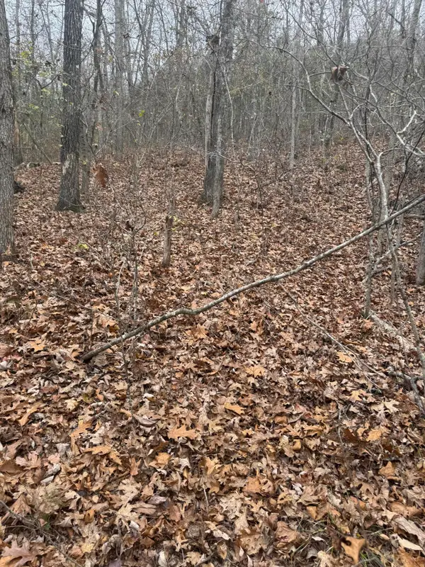 000 County Road 19-301, Eminence, MO 65466