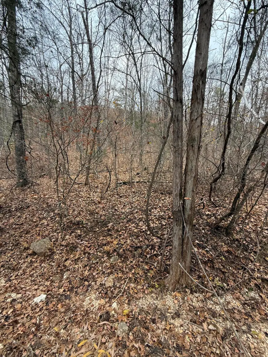 000 County Road 19-301, Eminence, MO 65466 - #2