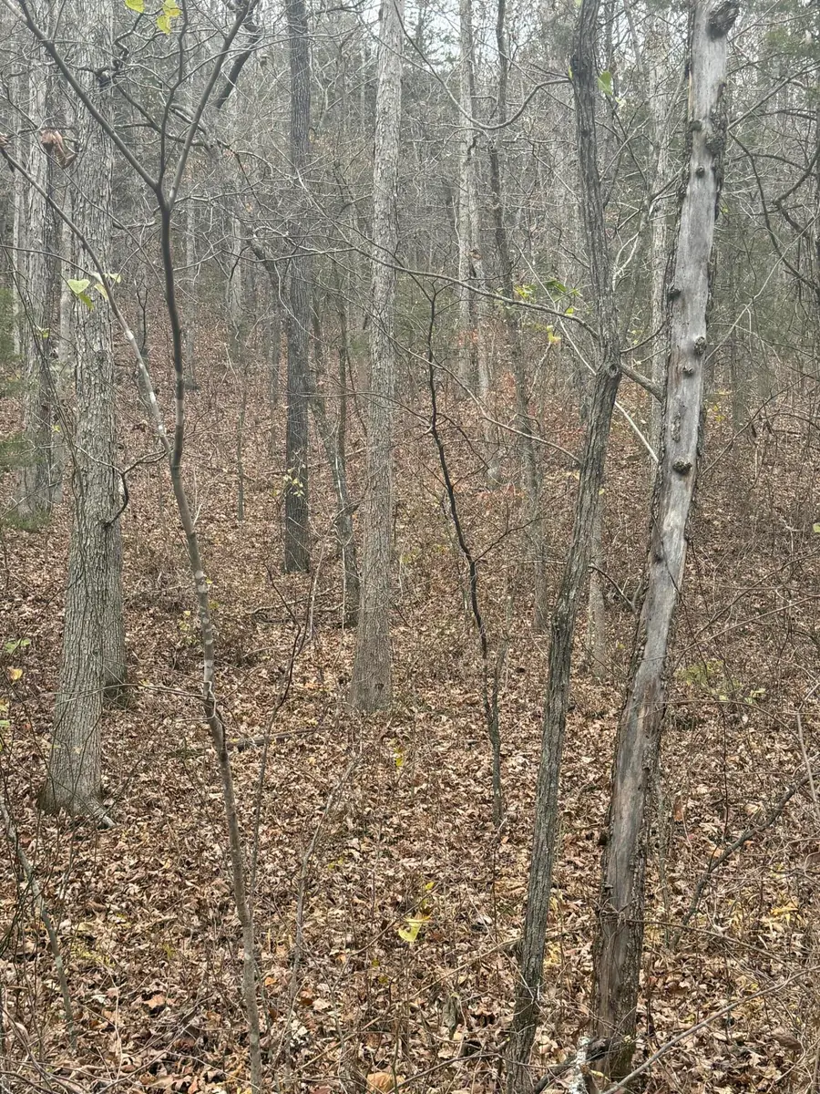 000 County Road 19-301, Eminence, MO 65466 - #3