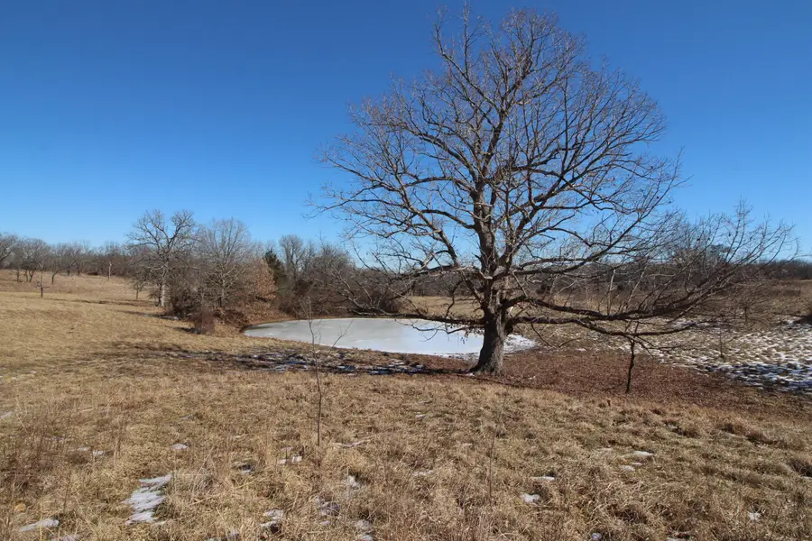 000 County Road 260, Myrtle, MO 65778 - #3