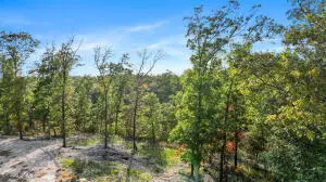 Lot 11 Wilshire Boulevard, Pineville, MO 64856 - #1