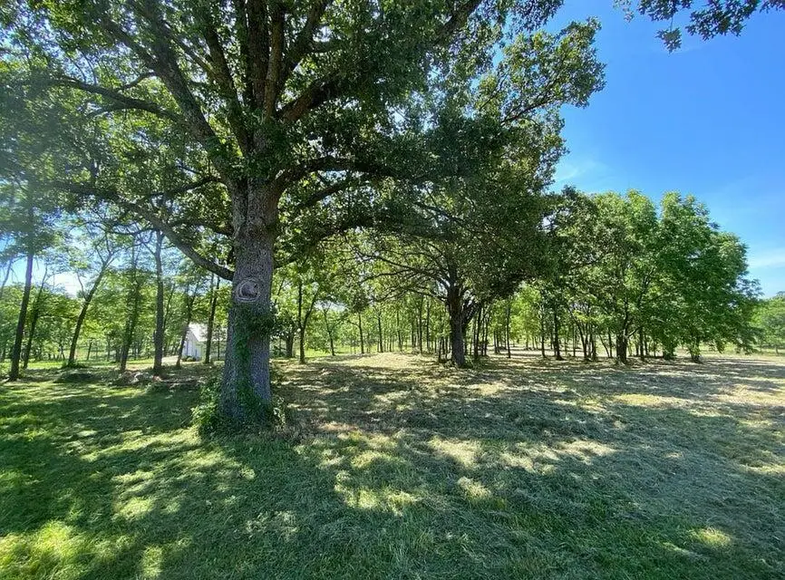 000 W Farm Rd 164, Republic, MO 65738 - #2