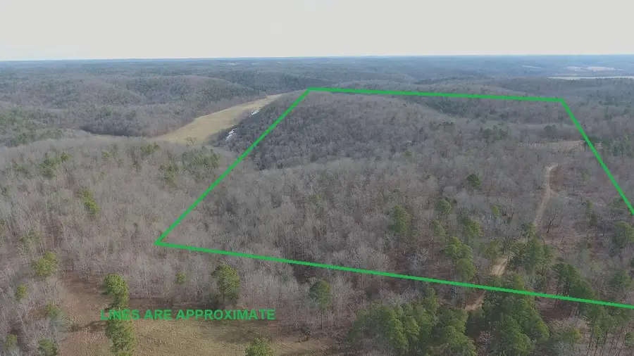 000 Private Road 422-17, Birch Tree, MO 65438 - #2