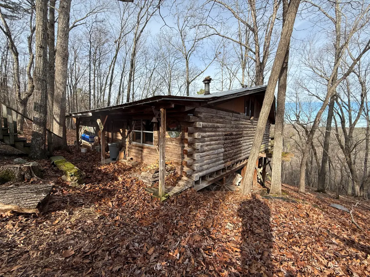 Address Withheld By Seller, Birch Tree, MO 65438 - #1