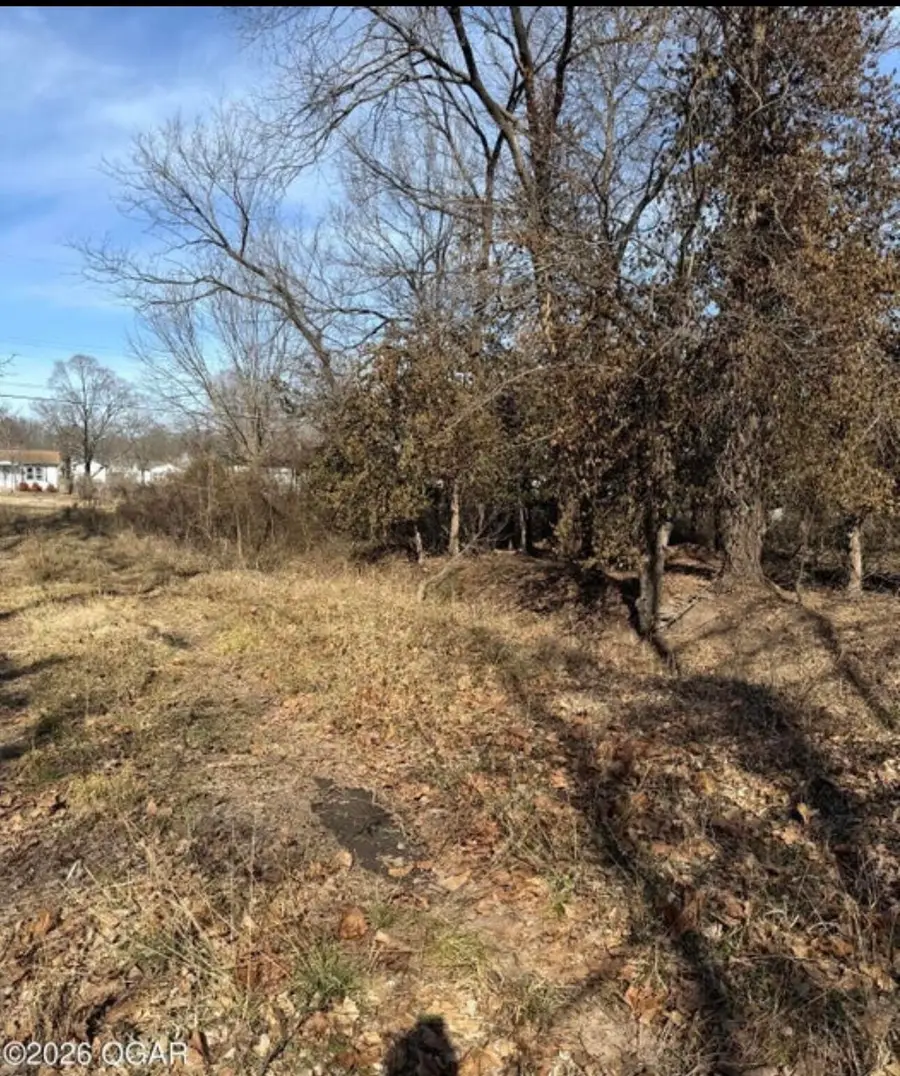 000 Laurel Street #Lots A&B, Joplin, MO 64801 - #3