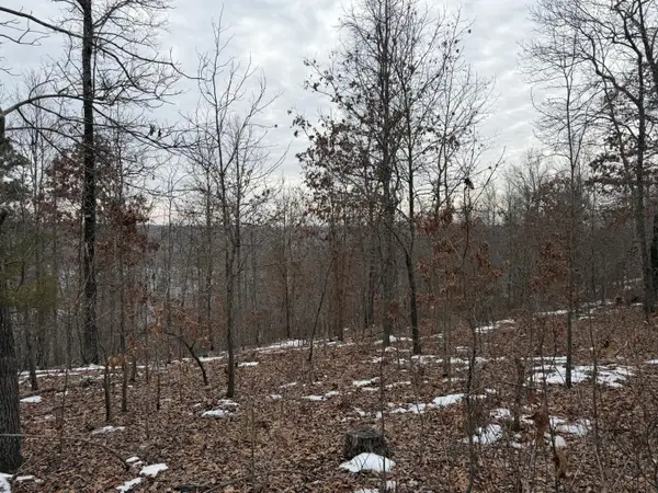 000 N Bergmann's Hollow Lane N, Eminence, MO 65466