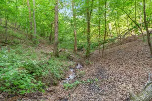 000 El Monte Road #Lot 1, Branson, MO 65616