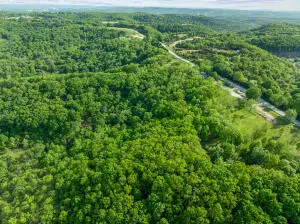 000 El Monte Road #Lot 1, Branson, MO 65616 - Image #3