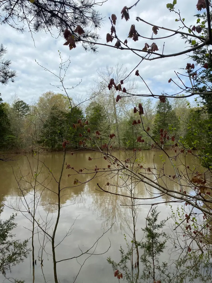 3365 County Road 153, Gainesville, MO 65655 - #2