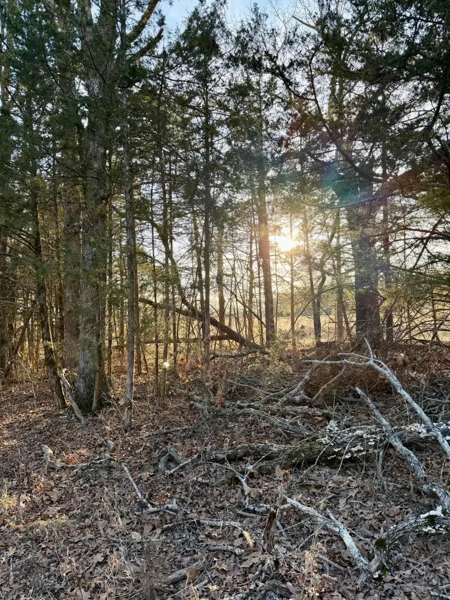 000 S 25th Road, Humansville, MO 65674 - #2