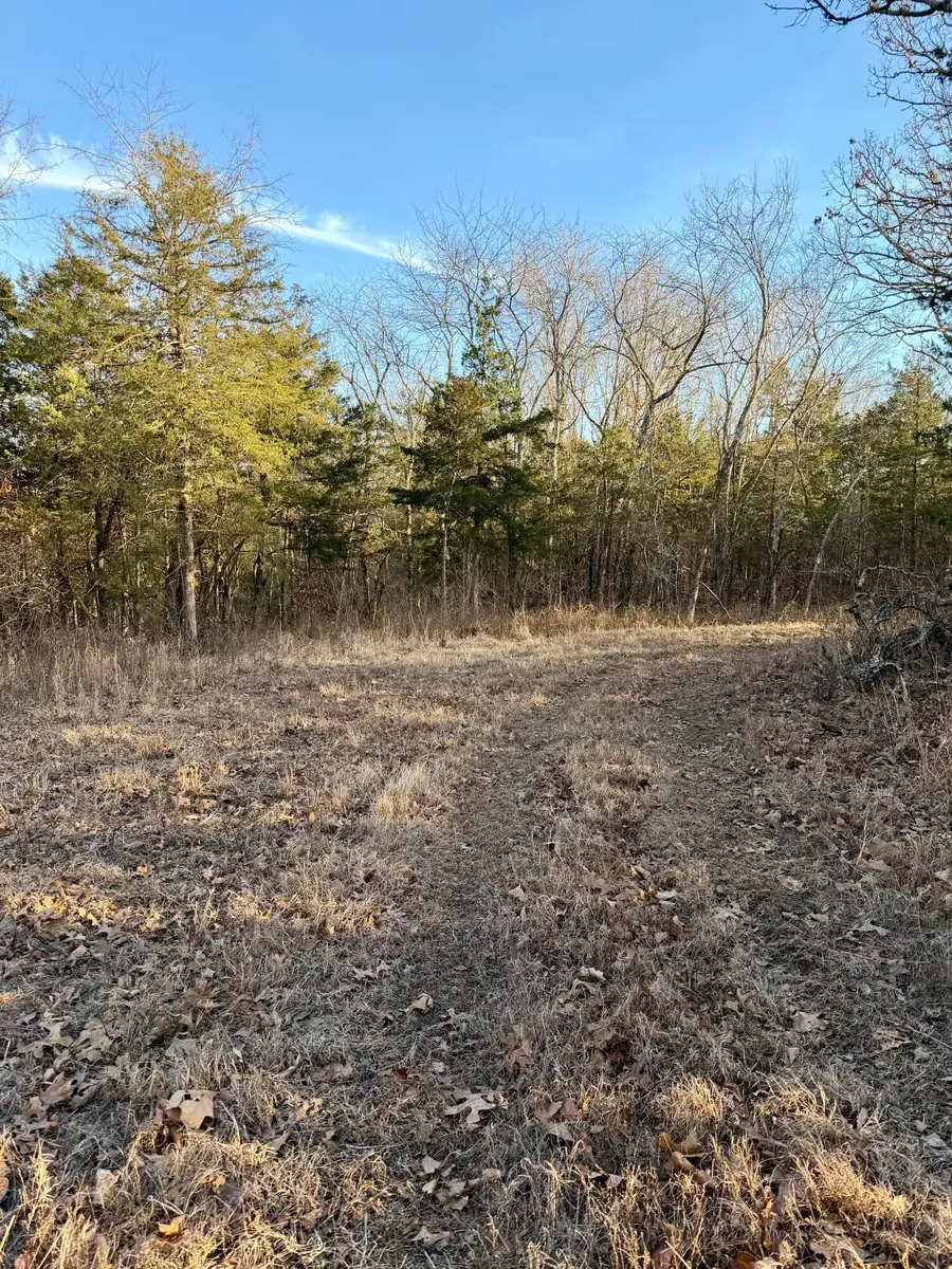 000 S 25th Road, Humansville, MO 65674 - #3