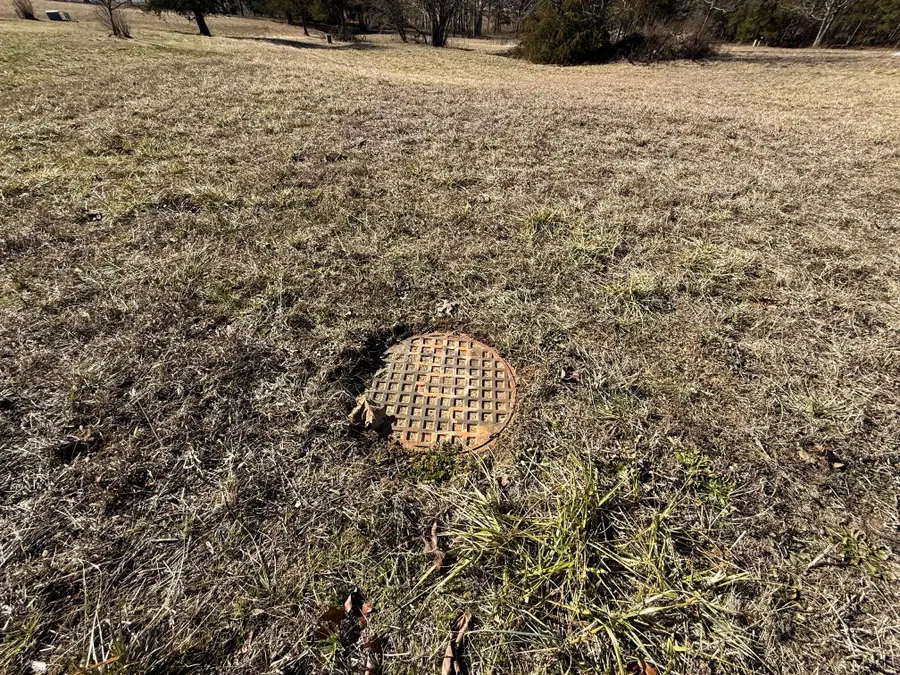 000 Primrose & Honeysuckle Lane, Houston, MO 65483 - #3