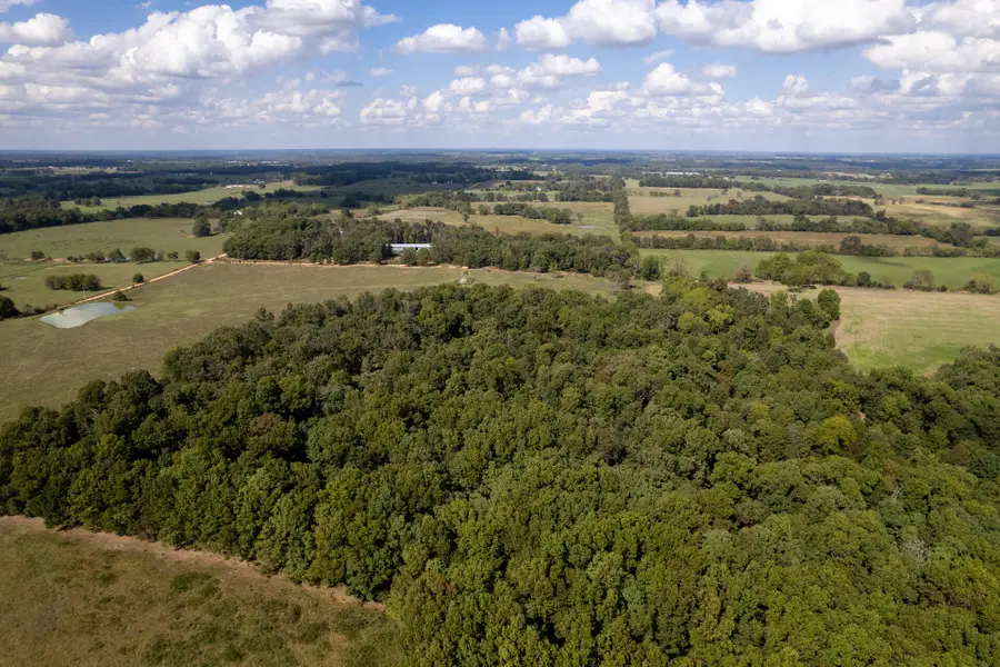 04 Carnell Road, Rocky Comfort, MO 64861 - #3