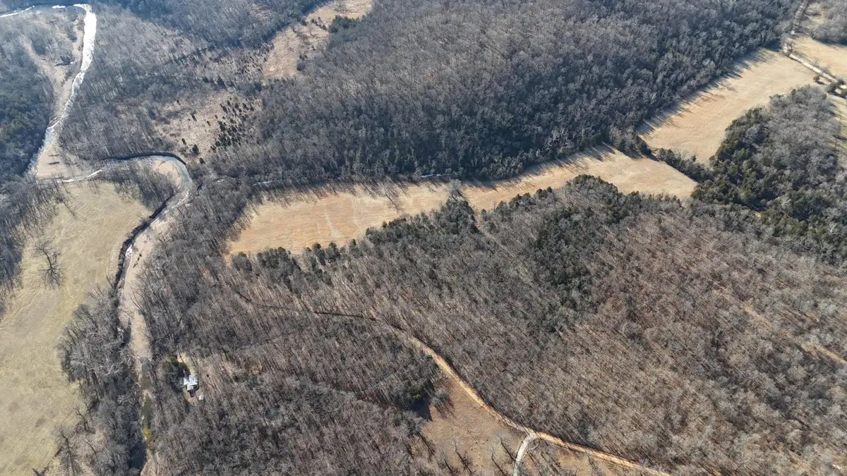 Tbd County Road 481w, Cross Timbers, MO 65634 - Image #1