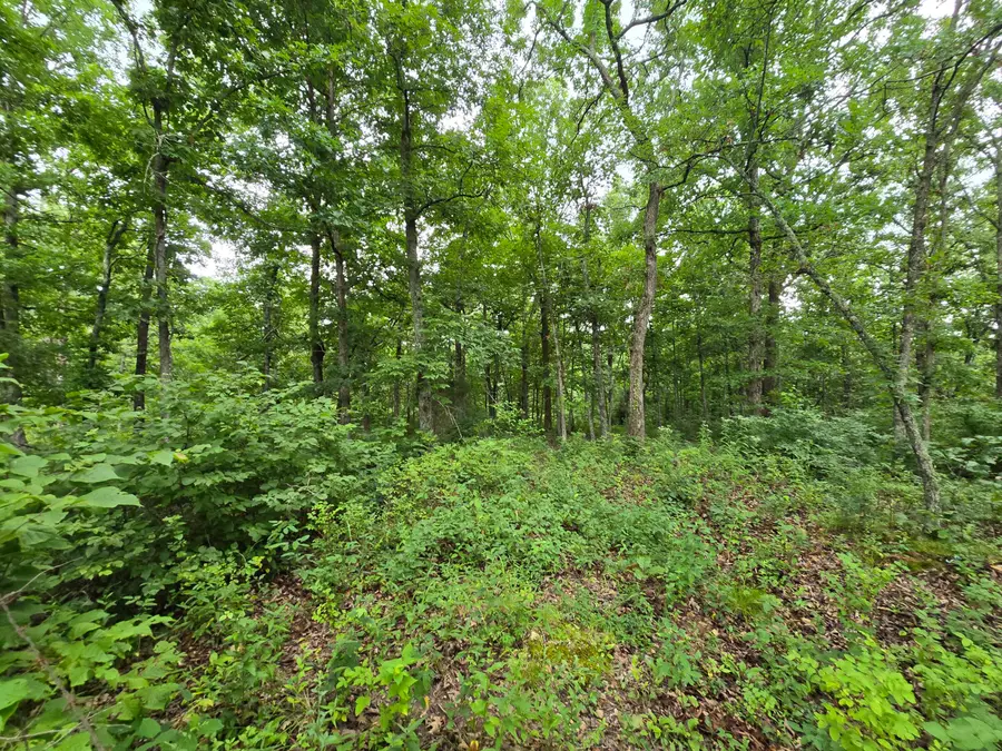 Tbd County Road 481w, Cross Timbers, MO 65634 - Image #2