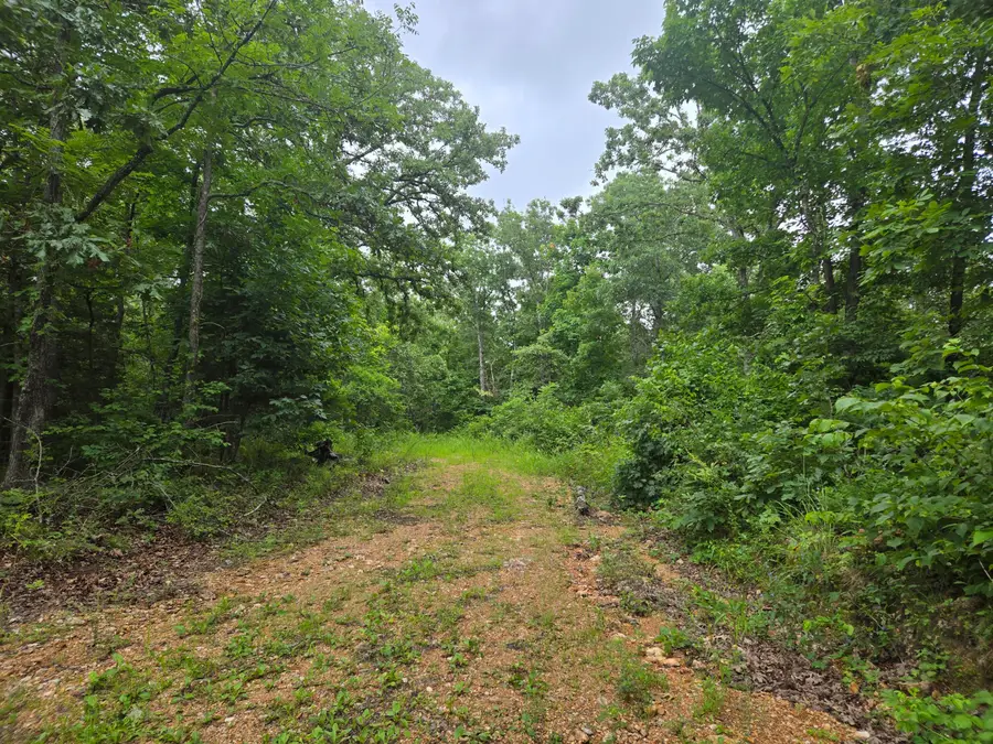 Tbd County Road 481w, Cross Timbers, MO 65634 - Image #3