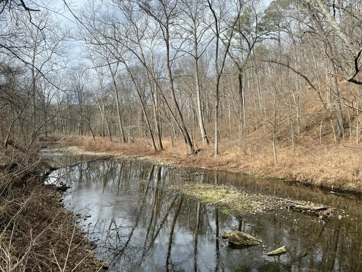 000 Forest Drive, Houston, MO 65483 - #1