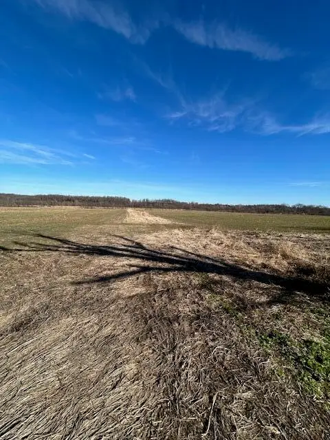 000 Holly Road, Pierce City, MO 65723 - Image #2