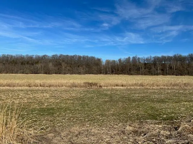 000 Holly Road, Pierce City, MO 65723 - Image #3