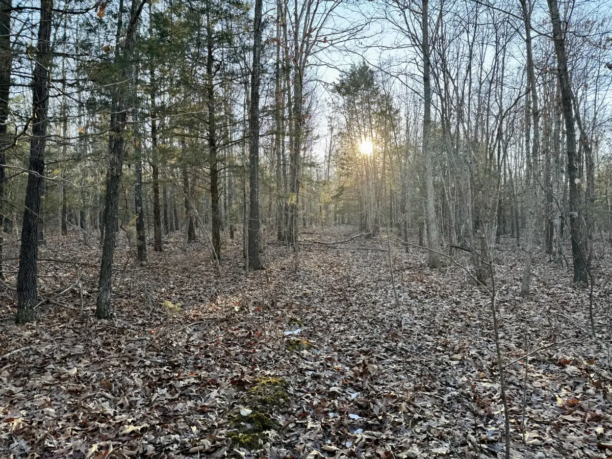 000 Highway Ad, Falcon, MO 65470 - Image #1