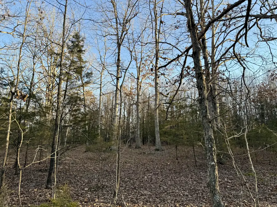 000 Highway Ad, Falcon, MO 65470 - Image #2