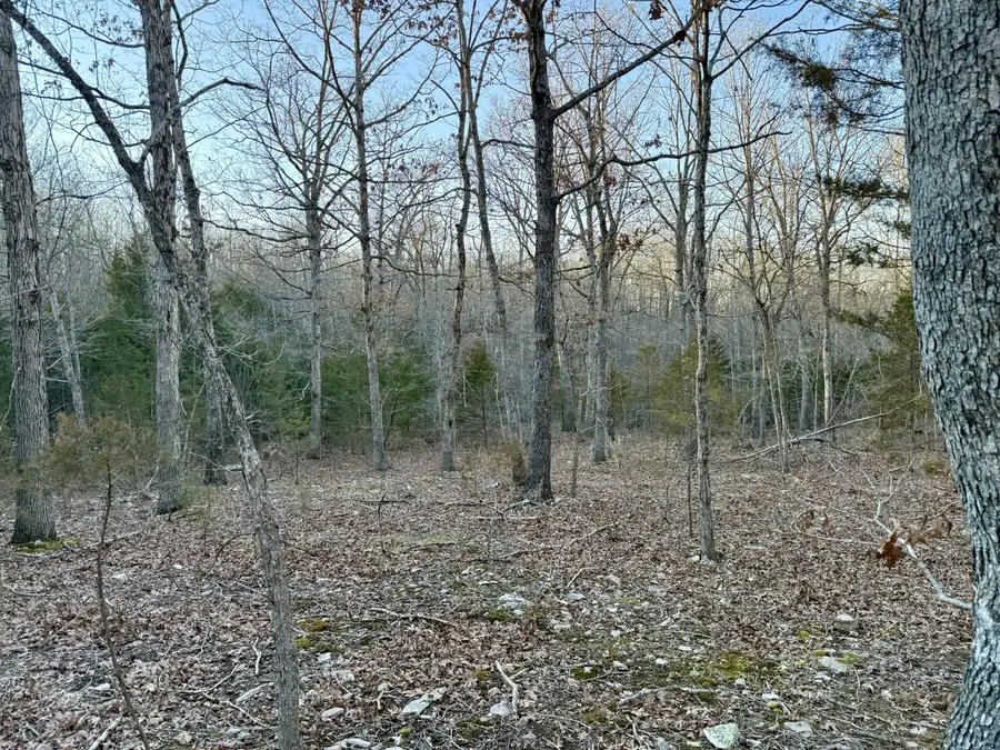 000 Highway Ad, Falcon, MO 65470 - Image #3