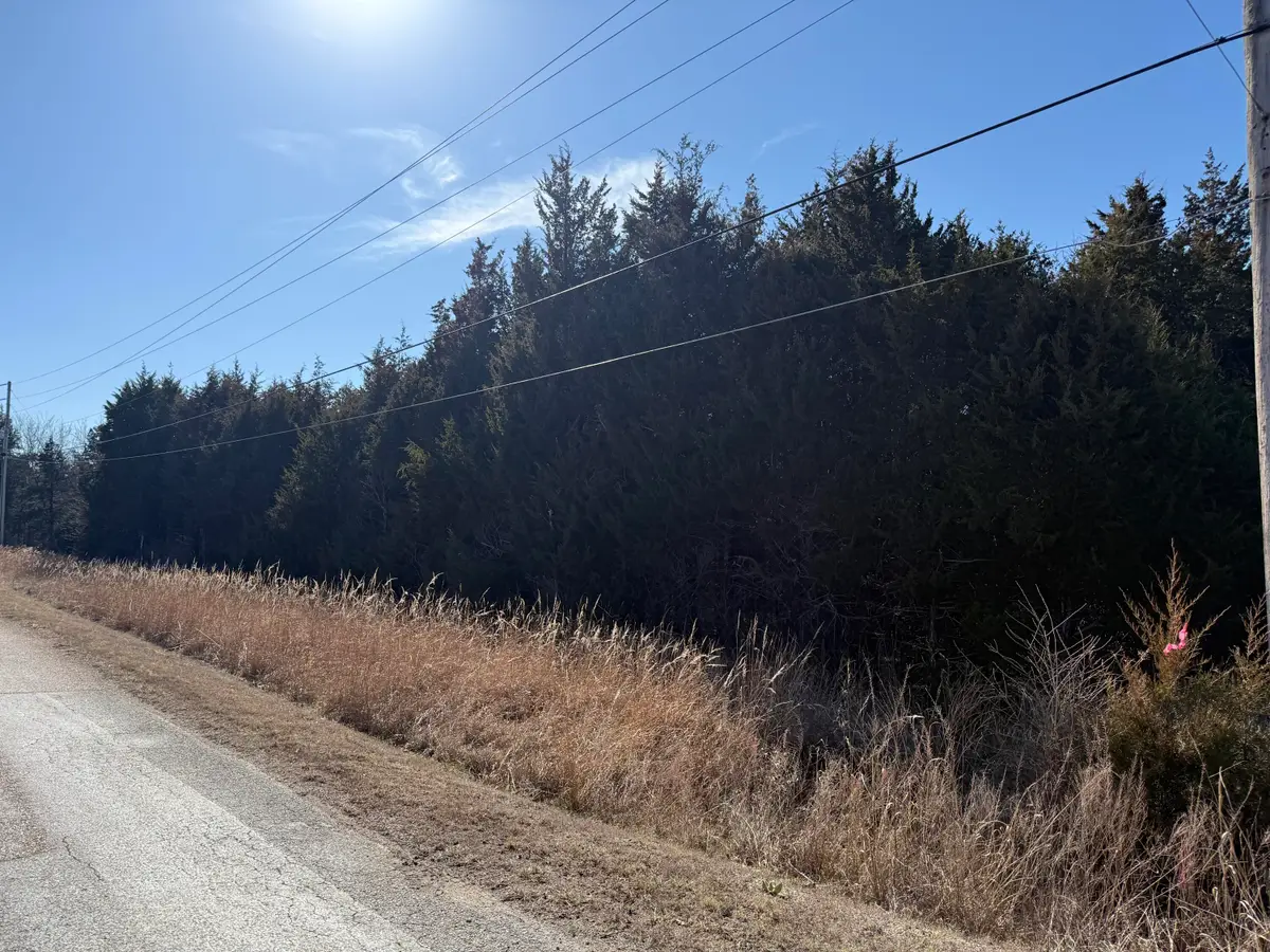 000 County Road 203, Wheatland, MO 65779 - #1