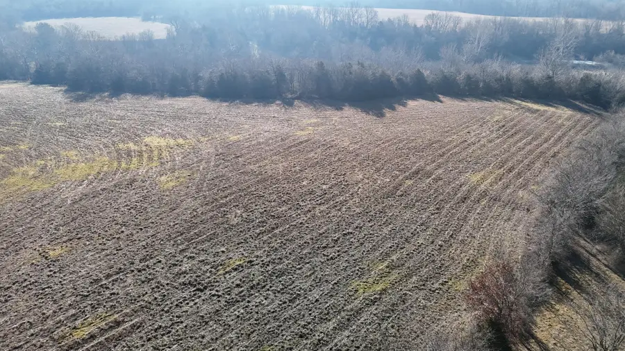 Lot 3 140th Road, Morrisville, MO 65710 - #2