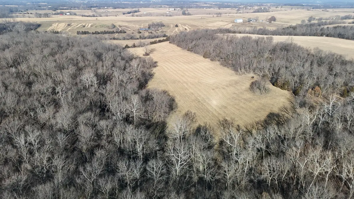 Lot 4 140th Road, Morrisville, MO 65710 - #1