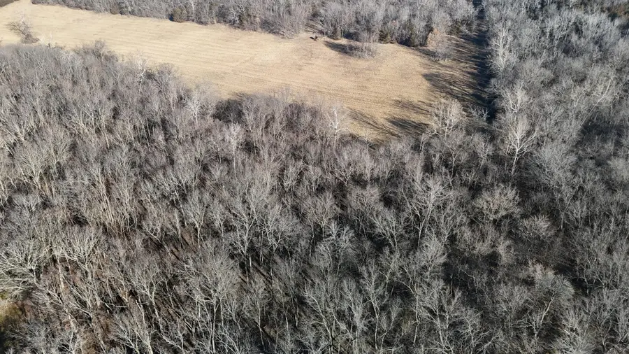 Lot 4 140th Road, Morrisville, MO 65710 - #3