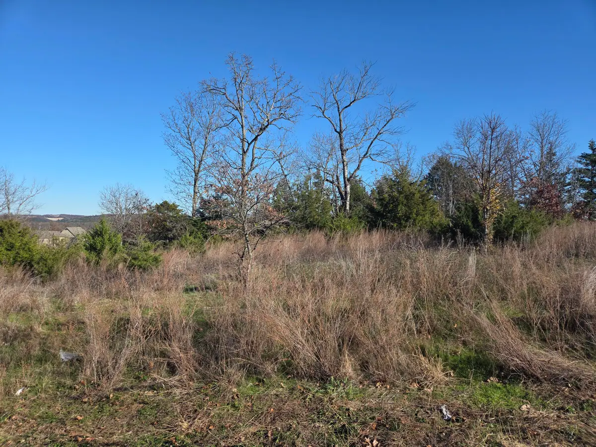 112 Black Forest Lane, Branson West, MO 65737 - #1