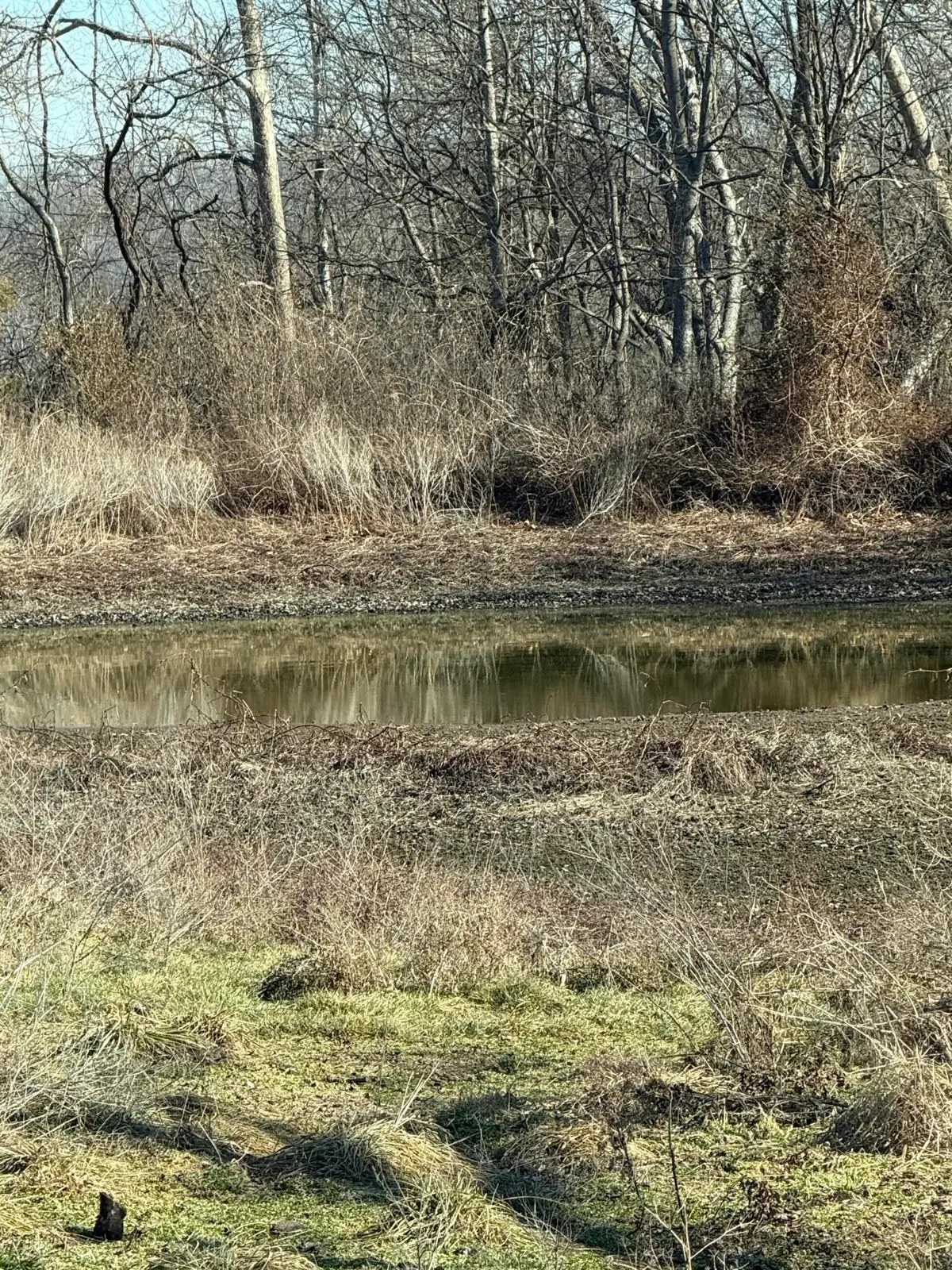 18059 State Highway O, Stark City, MO 64866 - Image #1