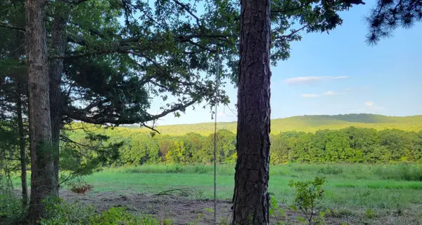 Tract 3 Private Drive 2336, Norwood, MO 65717