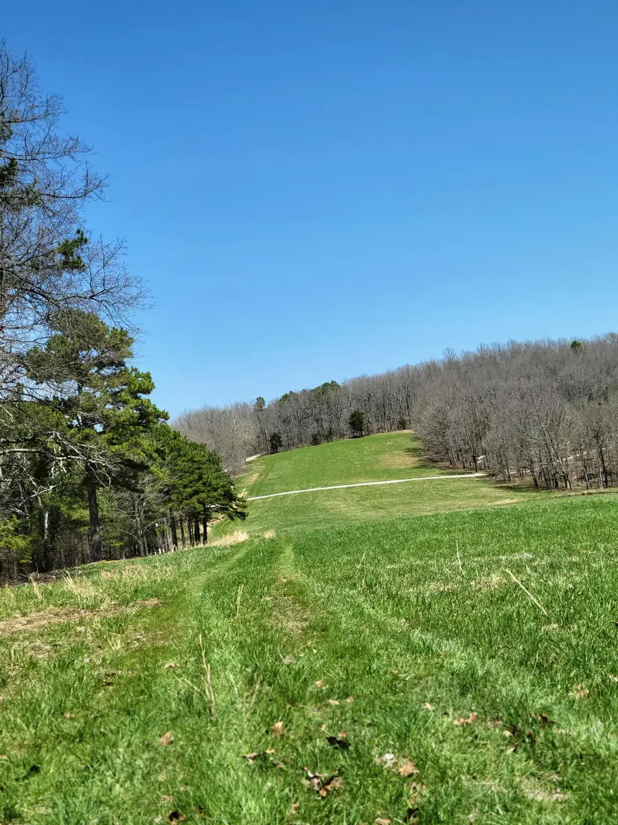 Tract 3 Private Drive 2336, Norwood, MO 65717 - #2