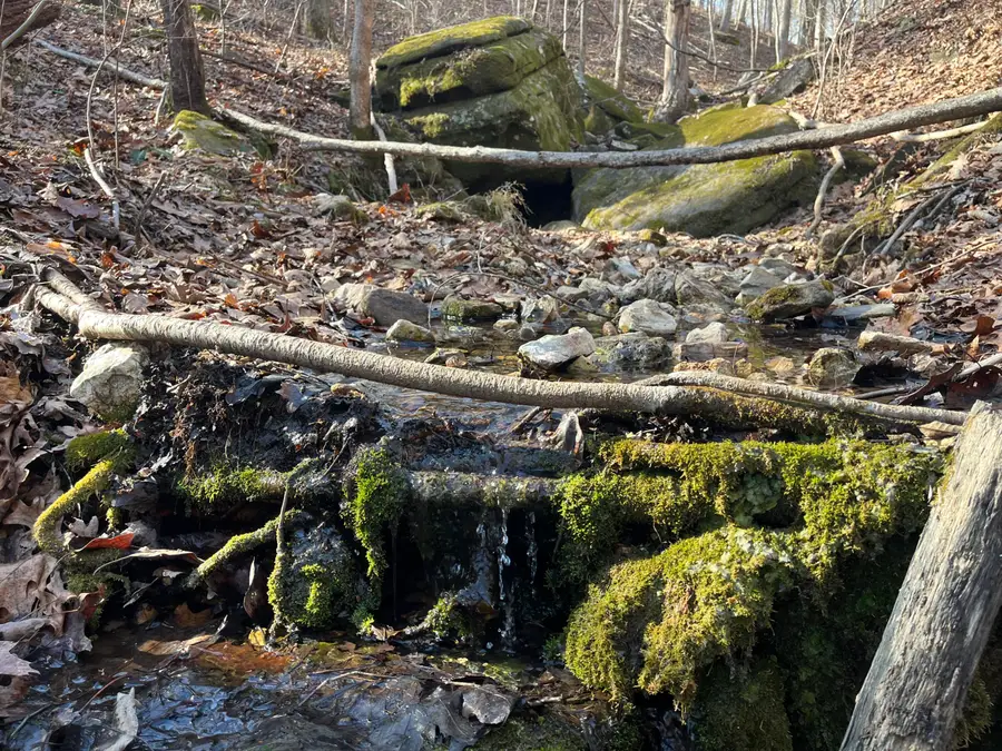 Tract 3 Private Drive 2336, Norwood, MO 65717 - #3